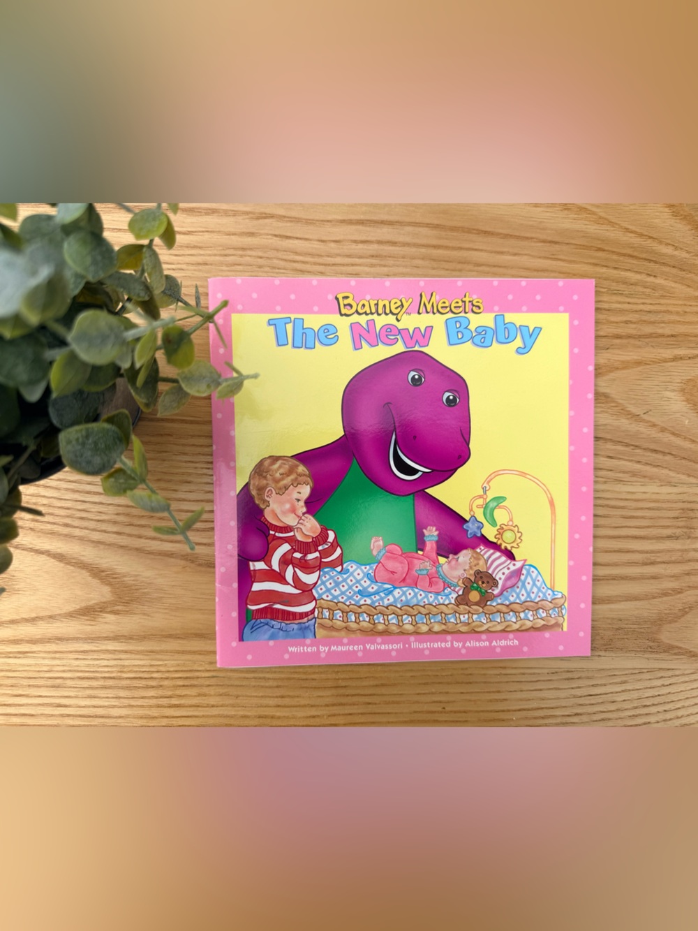 🌿10/$25 • Barney Meets The New Baby Paperback